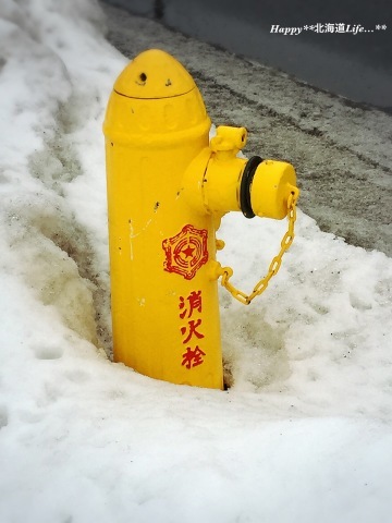a0337860_00251300.jpeg