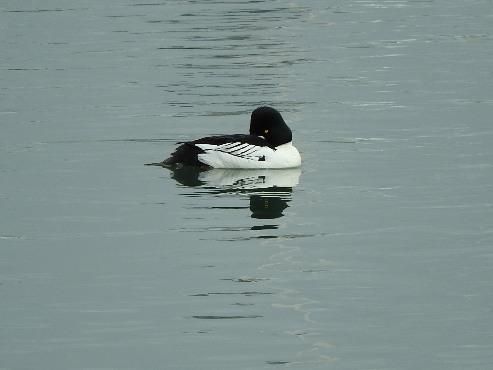 c0115366_1610014.jpg