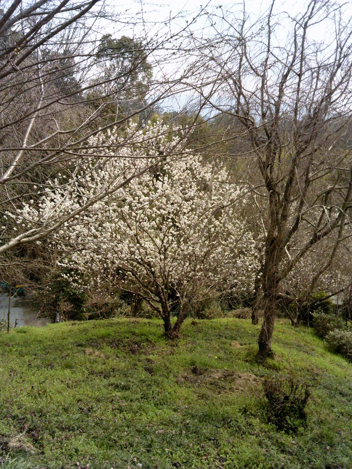 b0155370_14511098.jpg
