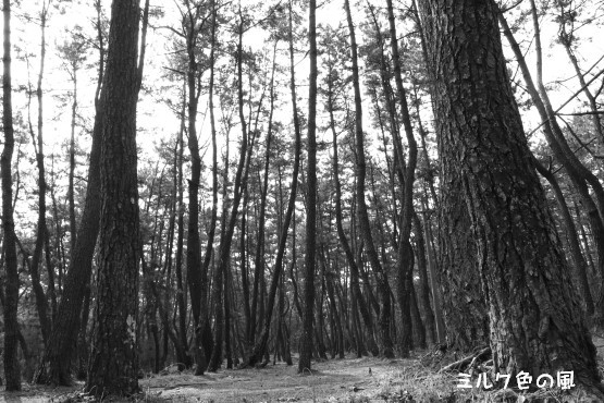 c0368870_10514154.jpg