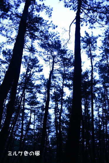 c0368870_10515228.jpg