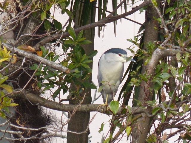 f0357487_20145190.jpg