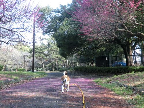 a0319693_8403191.jpg
