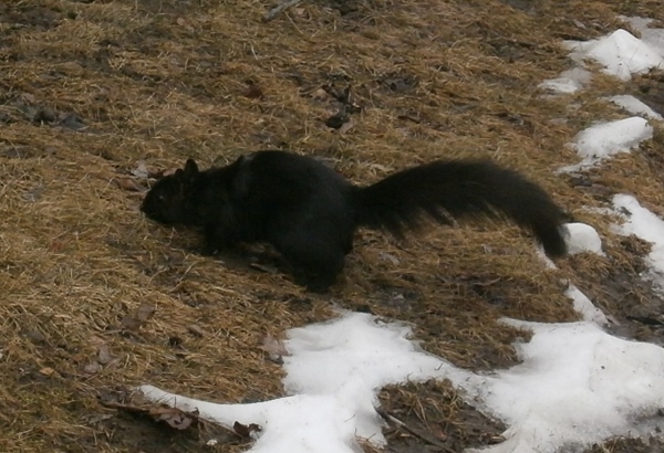 d0000995_13364219.jpg