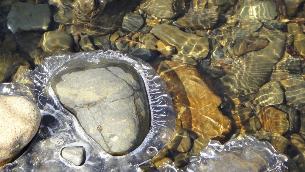 d0051707_20413369.jpg