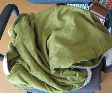 c0280322_11345629.jpg