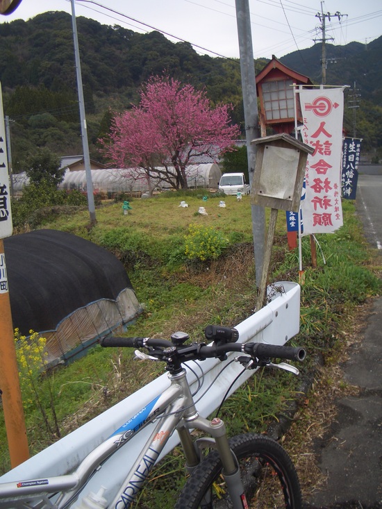 b0222530_17245962.jpg