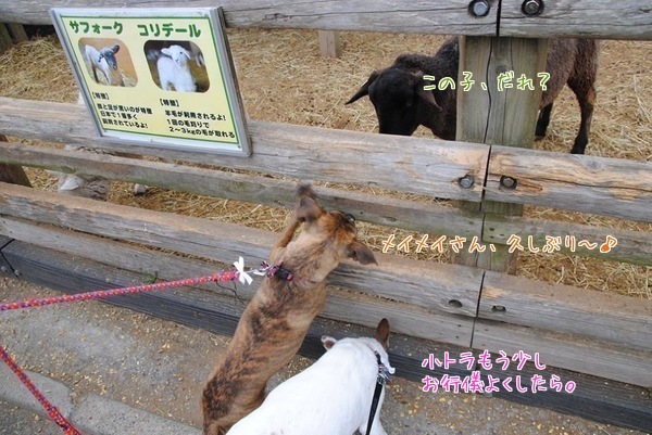 d0269832_08242495.jpeg