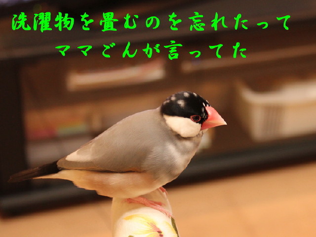 c0365734_22521614.jpg