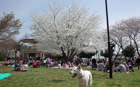 a0117039_2333157.jpg