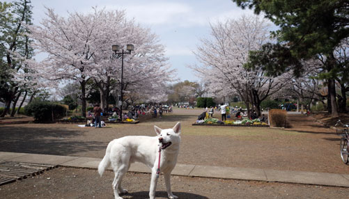 a0117039_2333367.jpg