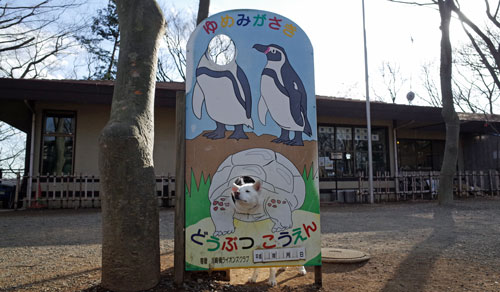 a0117039_23345939.jpg