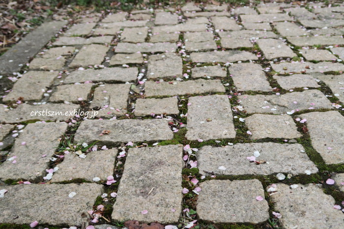 e0348754_21312150.jpg