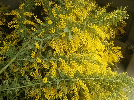 c0172261_1228352.jpg