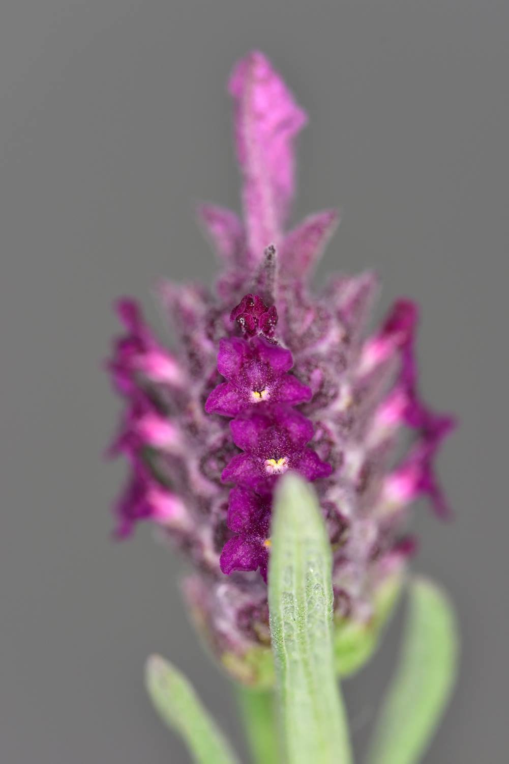 b0346568_21362562.jpg