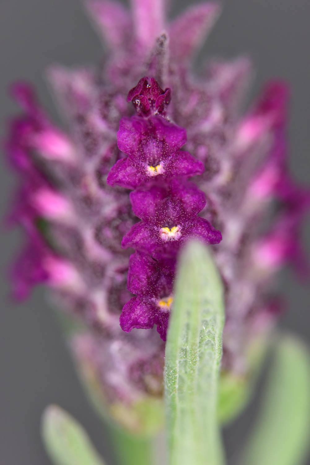 b0346568_21440469.jpg