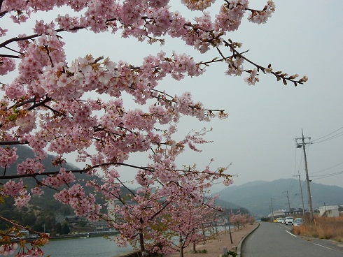 e0175370_12531258.jpg