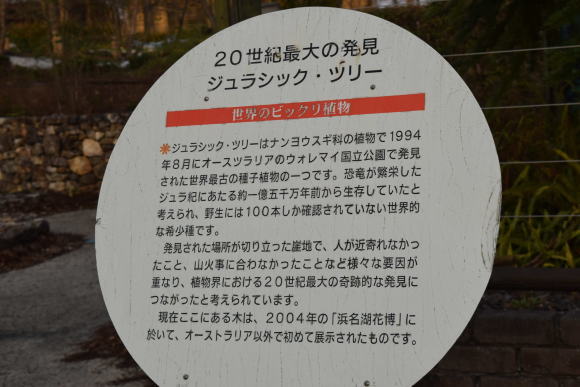b0242873_13083621.jpg