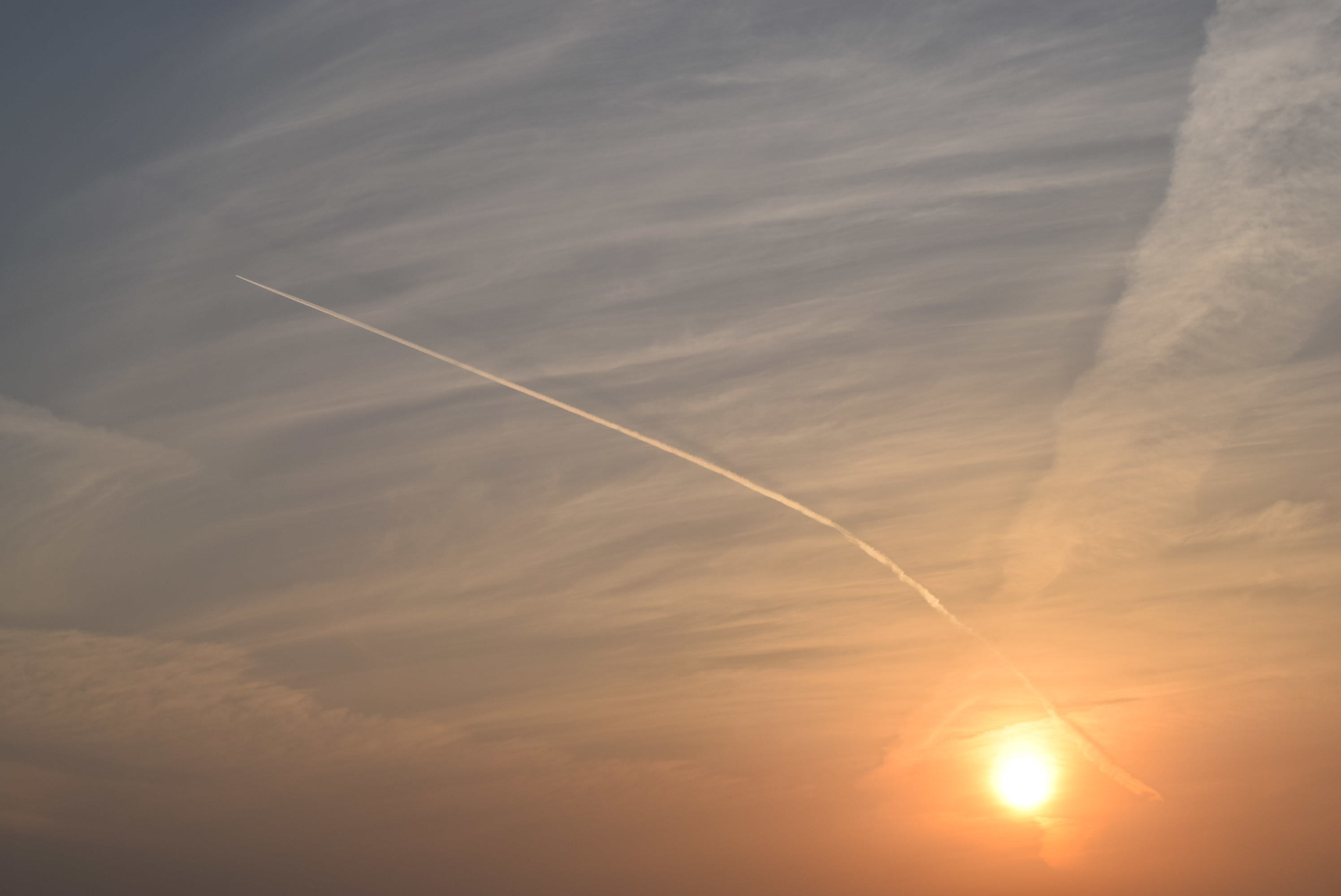 b0242873_13164840.jpg