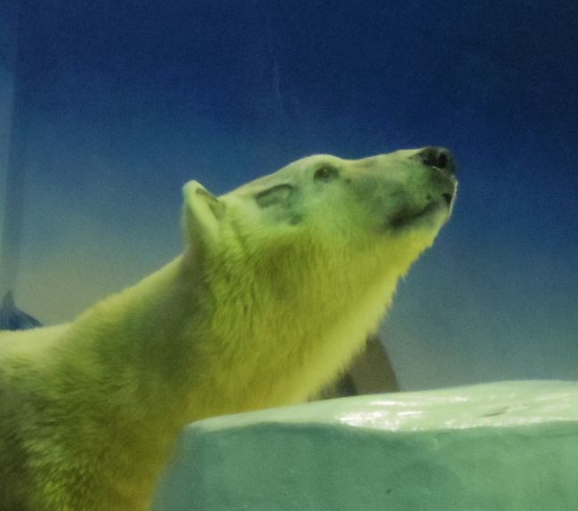 b0014576_00092444.jpg