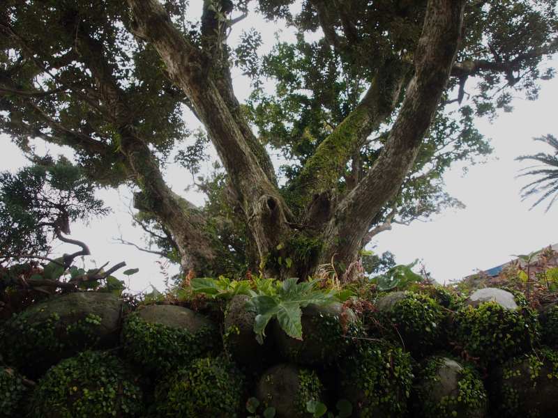 c0183777_722046.jpg
