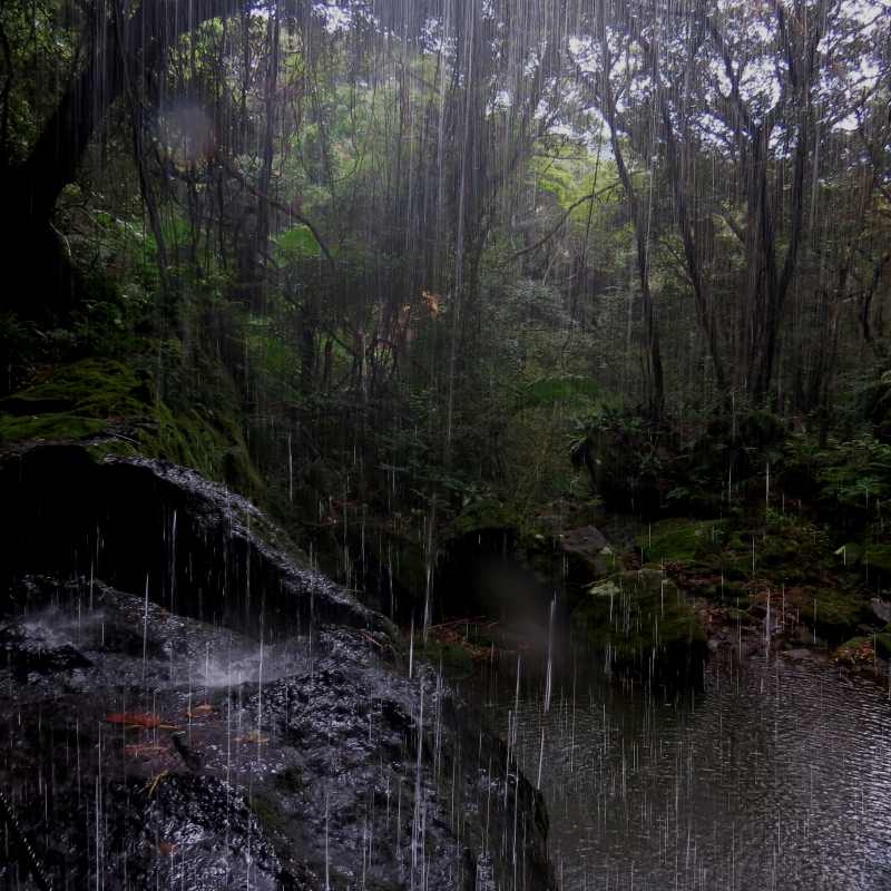 c0183777_7435251.jpg