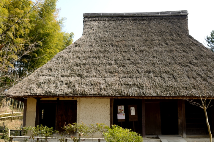 f0108478_20403447.jpg