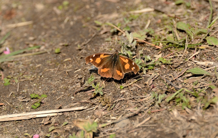 f0108478_20461968.jpg