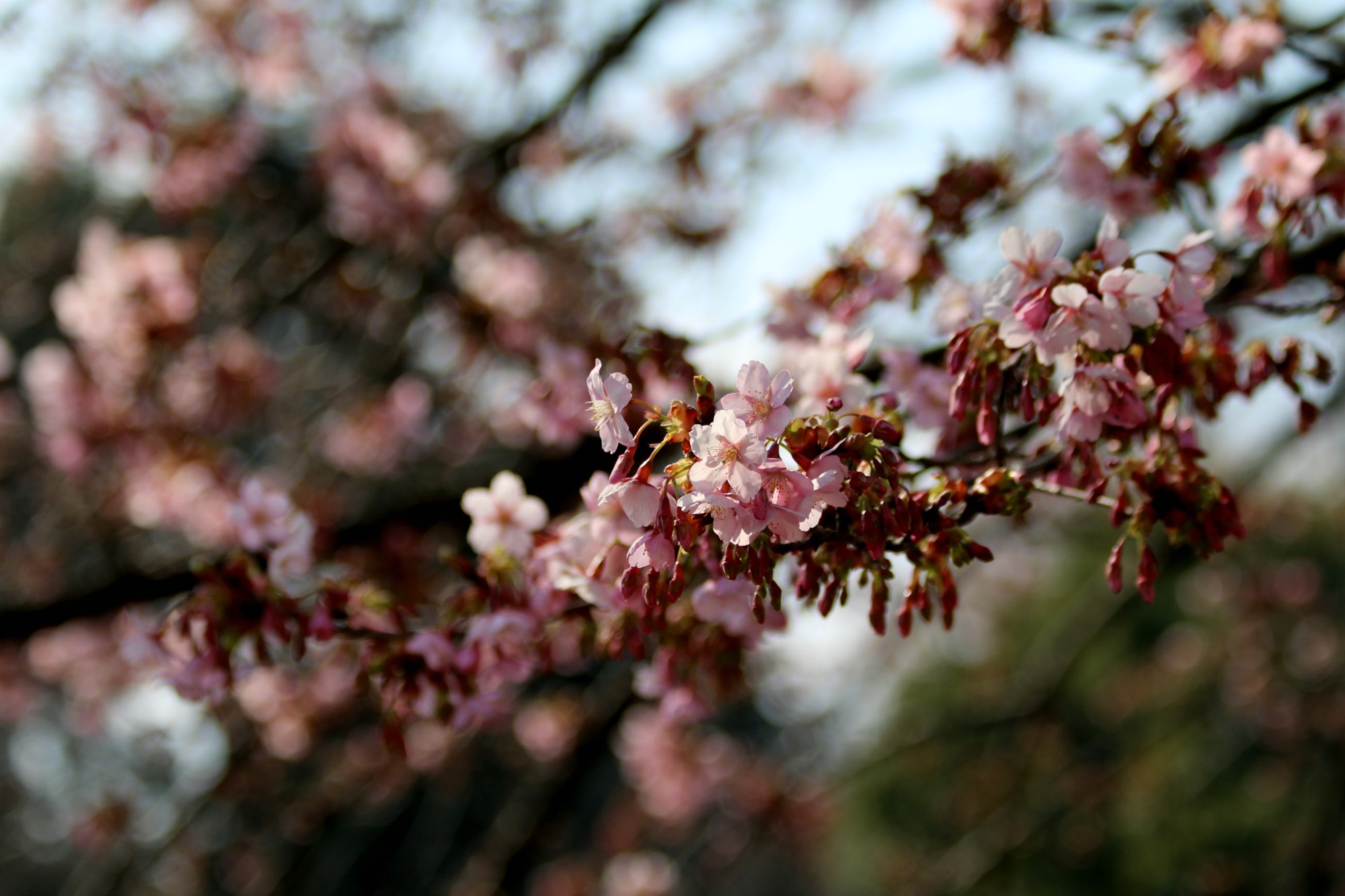 a0127090_21204396.jpg