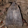 b0194593_912783.jpg