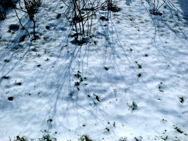 a0199297_20503771.jpg