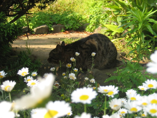 f0201297_05472290.jpg