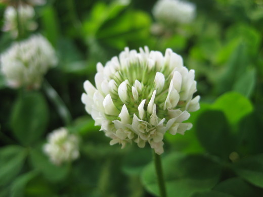 f0201297_05475737.jpg