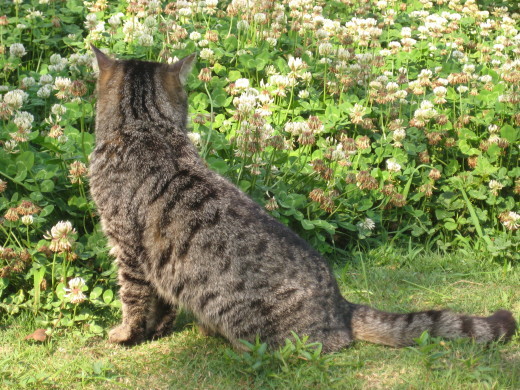 f0201297_06465973.jpg