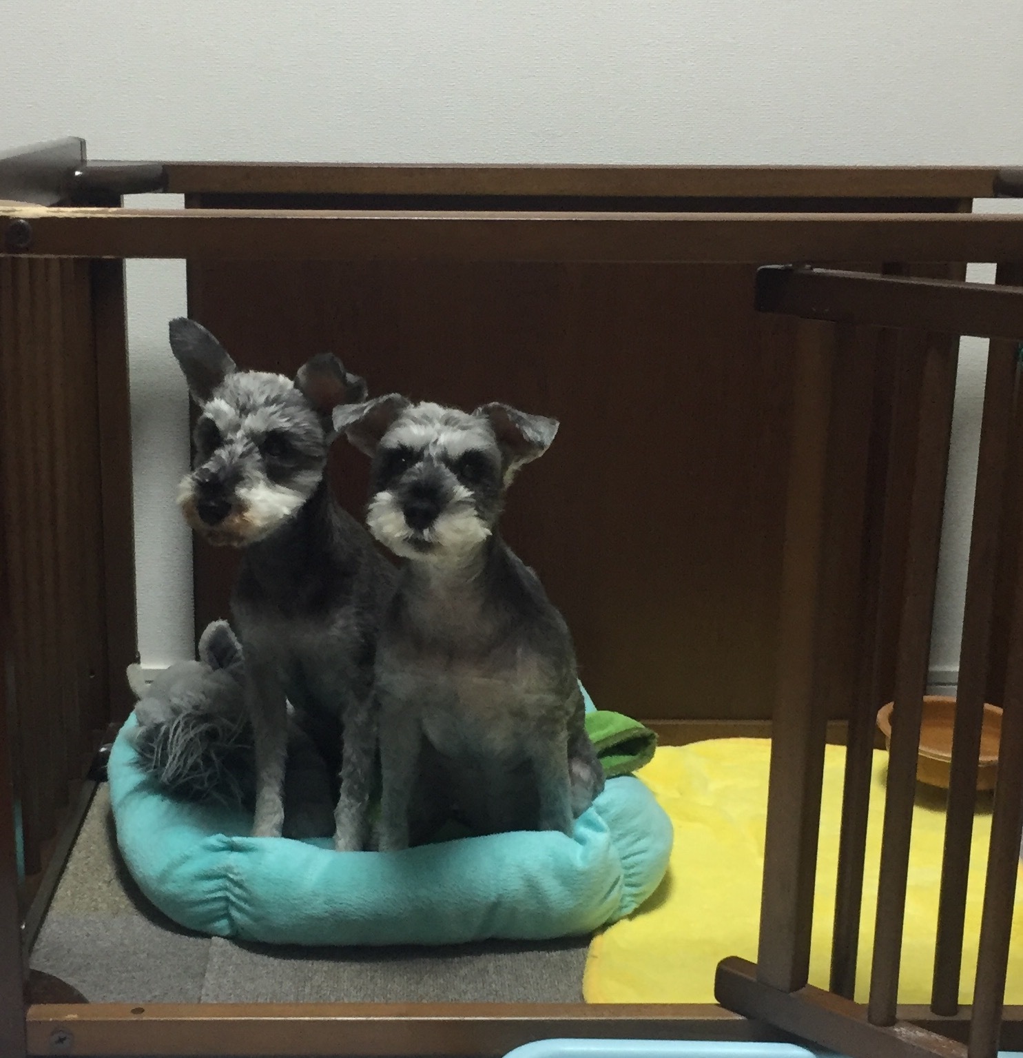 b0188998_15100751.jpeg