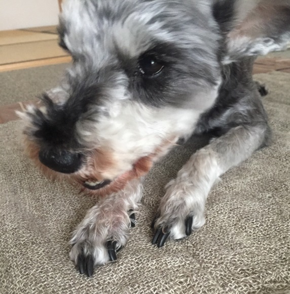 b0188998_15123483.jpeg
