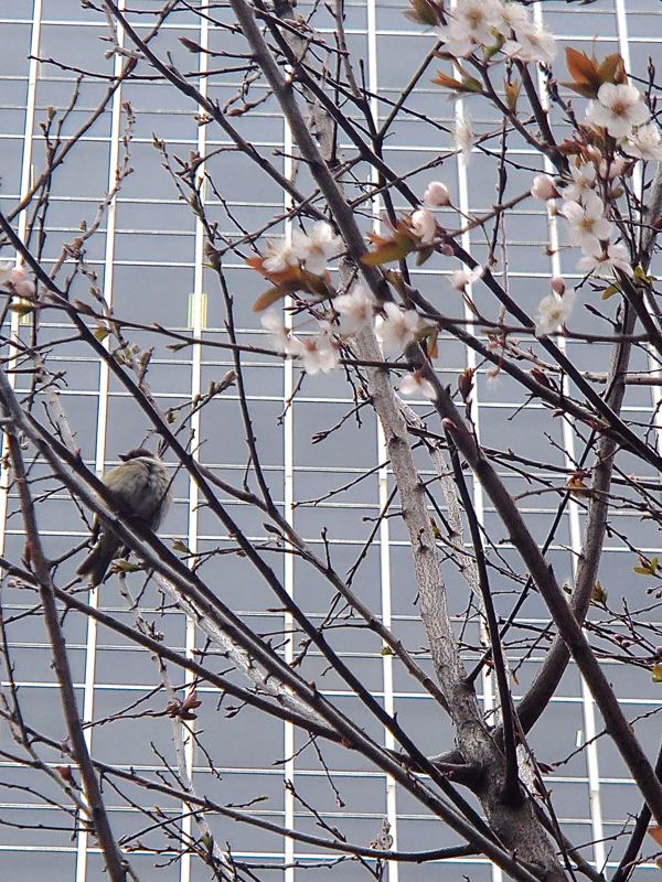 c0015099_20191529.jpg