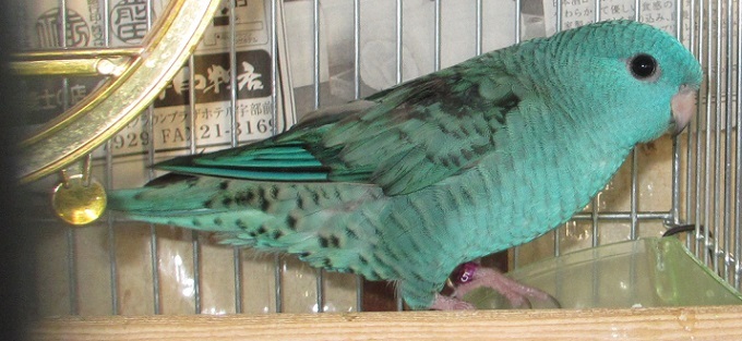 e0255102_20240161.jpg