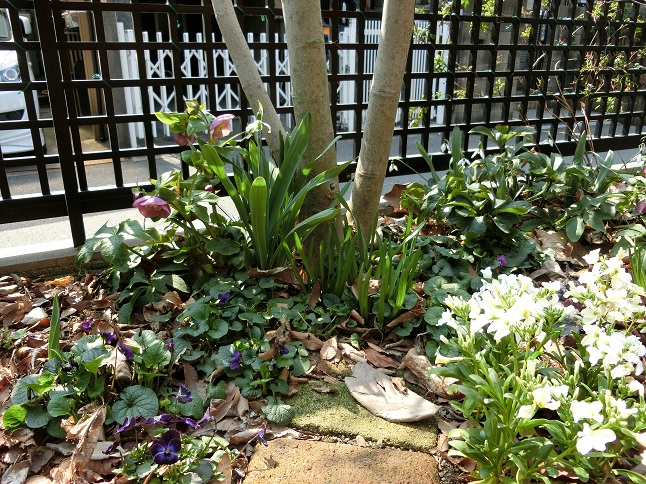 e0234004_18455893.jpg