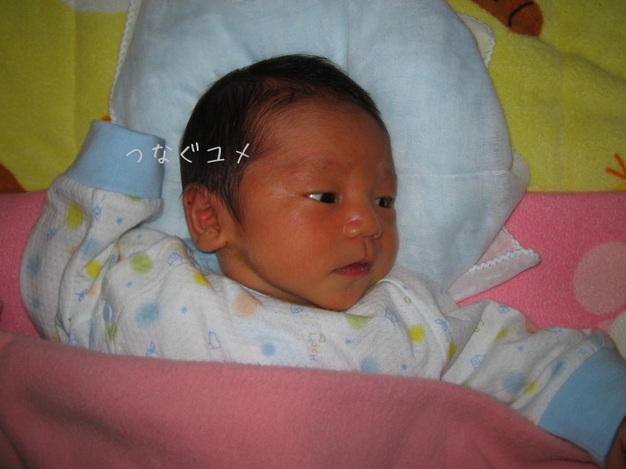 d0258417_227228.jpg