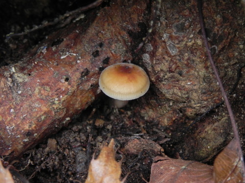 e0352220_19093126.jpg