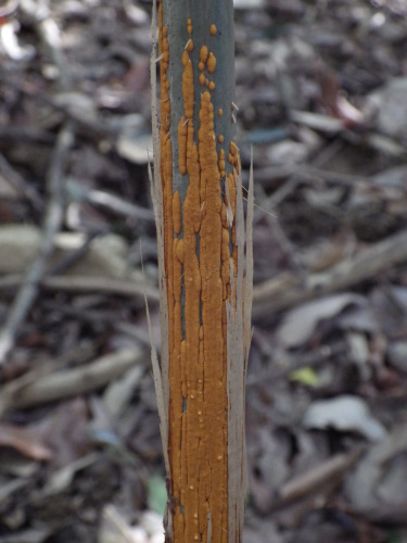 e0352220_19175249.jpg