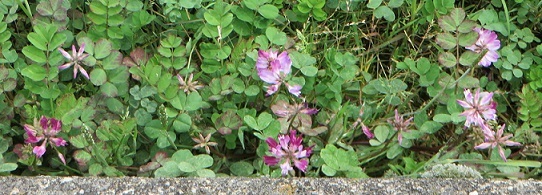 c0280322_16472047.jpg