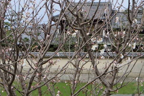 c0280322_16474837.jpg
