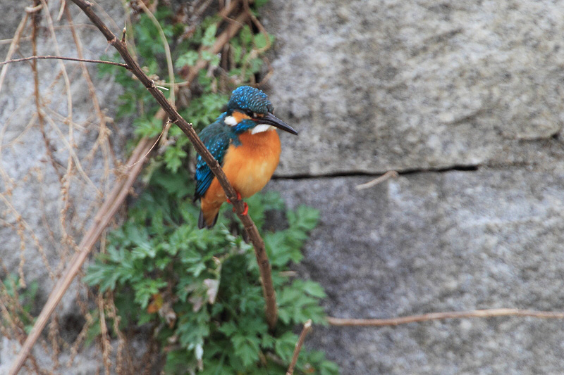 f0031423_8552235.jpg