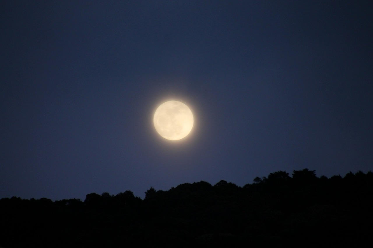b0162728_6551283.jpg