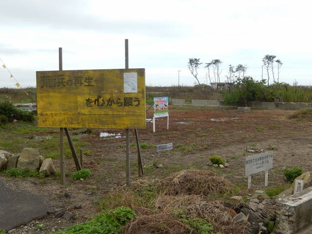 b0000829_8315197.jpg