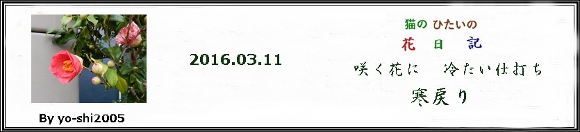 e0033229_18454682.jpg