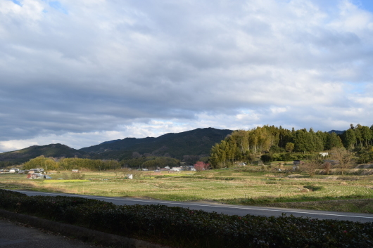 a0228333_22194456.jpg