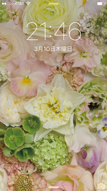 b0198033_163474.png